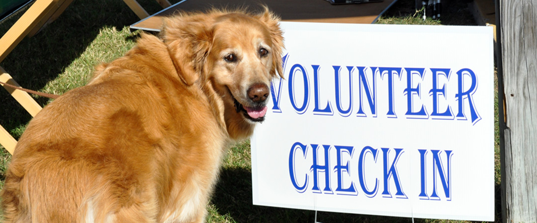 A golden retreiver in front of the volunteer check in sign